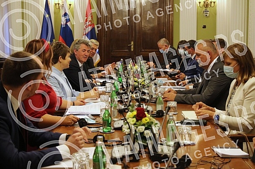 Meeting of the delegation from Slovenia with members of the parliamentary committees for foreign affairs and European integration. Sastanak delegacije iz Slovenije sa clanovima skupstinskih odbora za spoljne poslove i za evropske integracije.