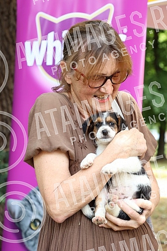 The first regional festival of dogs of all breeds called 