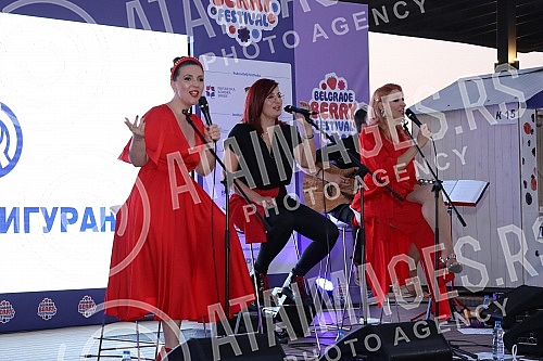 The performance of the group Frajle is part of Berry Fest, the first festival of strawberry fruit in Belgrade.Nastup grupe Frajle su sklopu Berry festa, prvog festivala jagodastog voca u Beogradu.