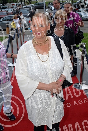 Koncert Marinka Rovica 