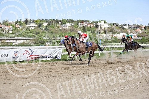 First May - Labor Day at the Belgrade Hippodrome.Prvi maj, praznik rada na beogradskom Hipodromu.