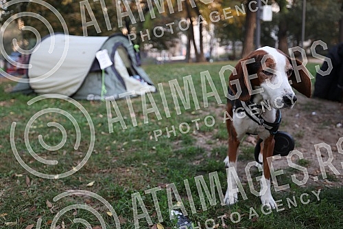 The protest march called No return from Smederevska Palanka to Belgrade arrived in front of the presidency building on October 30, but it does not end there and will continue until someone accepts the activists' demands.Protestni mars pod nazivom N