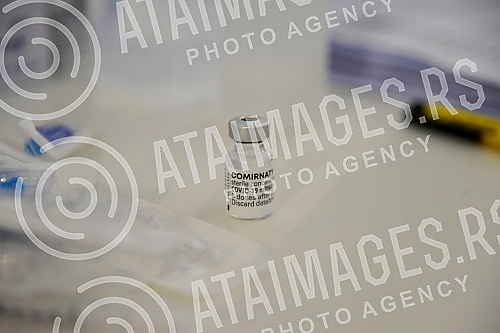 The team of the program for connecting with the Serbian diaspora 