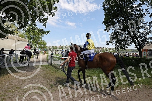 First May - Labor Day at the Belgrade Hippodrome.Prvi maj, praznik rada na beogradskom Hipodromu.