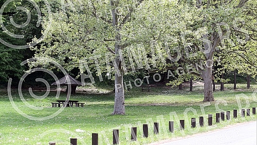 International Labor Day - May 1 in Belgrade. Curfew at the time of COVID 19.Medjunarodni praznik rada - 1. maj u Beogradu. Policijski cas u vreme COVID 19.