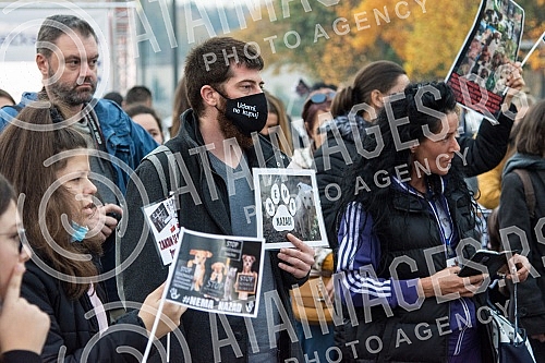 A No Back protest was held in Nis, which is part of a joint struggle for all animals throughout Serbia, for the absolute implementation of the Animal Welfare Law and the Veterinary Law without changing the laws and strategies, for the humane solution