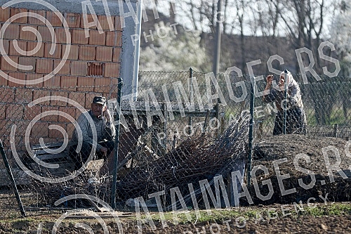 Life in Smederevska Palanka - Senior citizens respect the ban on going out and staying only in their yard and on their landZivot u Smederevskoj Palanci - stariji sugradjani postuju zabranu kretanja i borave samo u svom dvoristu i na svojoj zemlji.