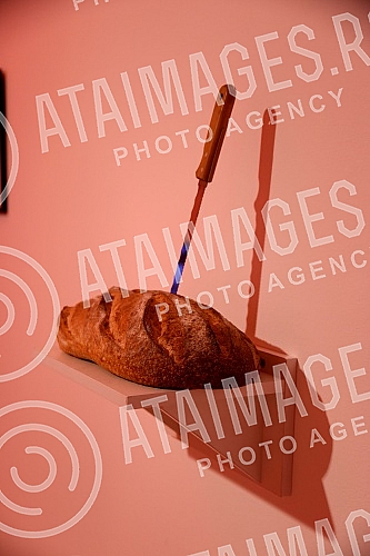 Opening of the exhibition 