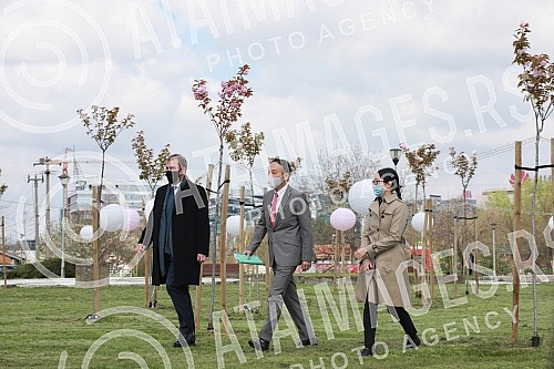In anticipation of the Olympic Games in Tokyo, the Olympic Committee of Serbia, the Embassy of Japan and the Japanese Business Alliance presented Olympic circles created from Japanese cherry trees on the stretch between the Old Sava Bridge and the Ga