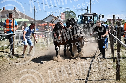 In the valley of the West Morava in the village of Tavnik, halfway between Kraljevo and Cacak, the Straparijada was held, one of the largest in this part of the country.U dolini Zapadne Morave u selu Tavnik, na pola puta izmedju Kraljeva i Cacka, o