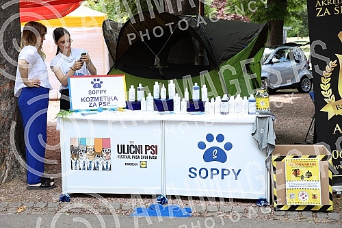 The first regional festival of dogs of all breeds called 