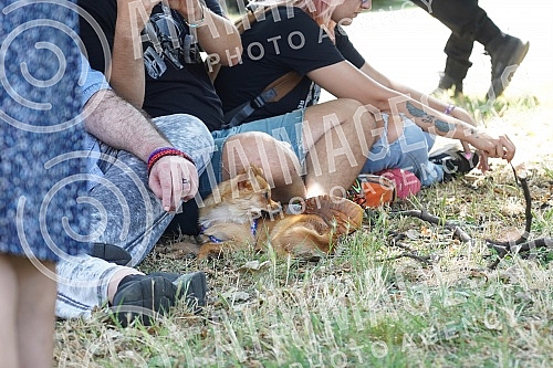 Animal rights protest in front of the Veterinary Administration.Protest za prava zivotinja ispred Uprave za veterinu.