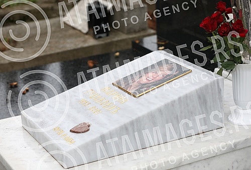 Today marks exactly one year since the famous hitmaker and songwriter Marina Tucakovic lost her life's battle after a long battle with a serious illness, and the family buried her grave in the early hours of the morning, and a one-year memorial servi