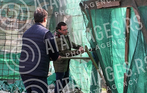 Cutting trees on Usce and Kalemegdan, as a preparation for mounting a gondola over the Sava River.Seca drveca na Uscu i Kalemegdanu, kao priprema za postavljanje gondole preko reke Save.