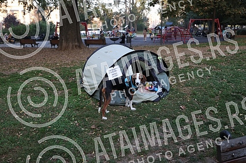The protest march called No return from Smederevska Palanka to Belgrade arrived in front of the presidency building on October 30, but it does not end there and will continue until someone accepts the activists' demands.Protestni mars pod nazivom N