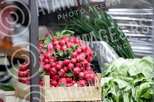 Markets in Belgrade are open three days a week, starting Thursday.Pijace u Beogradu rade tri dana nedeljno, od cetvrtka.