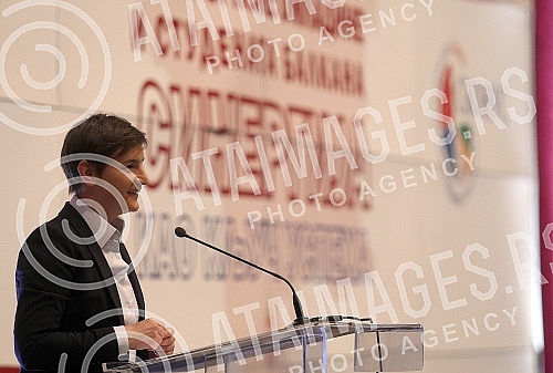 The Prime Minister of the Republic of Serbia Ana Brnabic participated in the Summit of Serbian Youth and Students of the Balkans under the slogan 