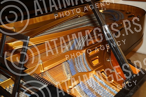 MK Gruop returned the Julius Bluthner piano from 1932 to the Ilija M. Kolarc Foundation.MK Gruop je vratila klavir Julius Bluthner iz 1932. godine u Zaduzbinu Ilije M. Kolarca.