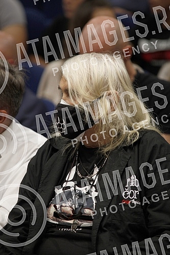 The election assembly of the Belgrade City Board of True Serbia and the Leviathan National Defense was held in the Stari Grad municipality building.U zgradi opstine Stari grad odrzana je izborna skupstina gradskog odbora Beograda Prave Srbije i Nac