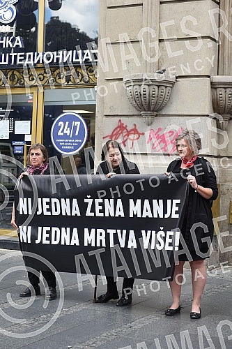 Autonomous Women's Center and Women in Black from Belgrade, in cooperation with member organizations of the Women Against Violence Network, organized a street action 