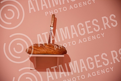 Opening of the exhibition 