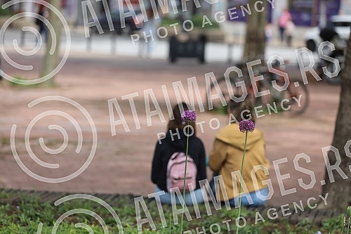 A nice day lured people outside.Lep dan izmamio je ljude napolje.