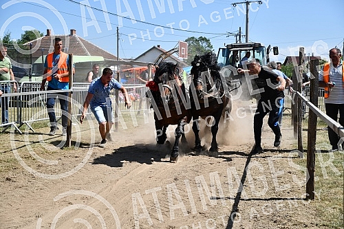 In the valley of the West Morava in the village of Tavnik, halfway between Kraljevo and Cacak, the Straparijada was held, one of the largest in this part of the country.U dolini Zapadne Morave u selu Tavnik, na pola puta izmedju Kraljeva i Cacka, o