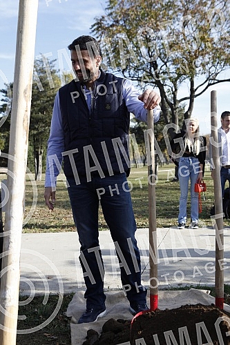 In the Friendship Park in Usce, the Serbian Progressive Party celebrated its 13th birthday by planting 13 trees.In the Friendship Park in Usce, the Serbian Progressive Party celebrated its 13th birthday by planting 13 trees.