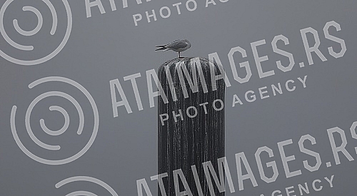 City pollution mixed with morning fog, Belgrade cityscape.
Zagadjenje grada pomesano sa jutarnjom maglom, gradski pejzaz Beograda. City pollution mixed with morning fog, Belgrade cityscape.
Zagadjenje grada pomesano sa jutarnjom maglom, gradski pejzaz Beograda.