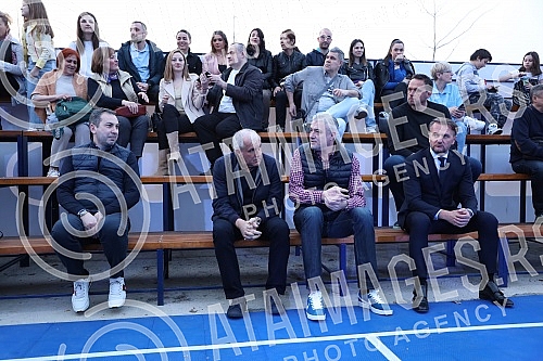 Mozzart's famous action 