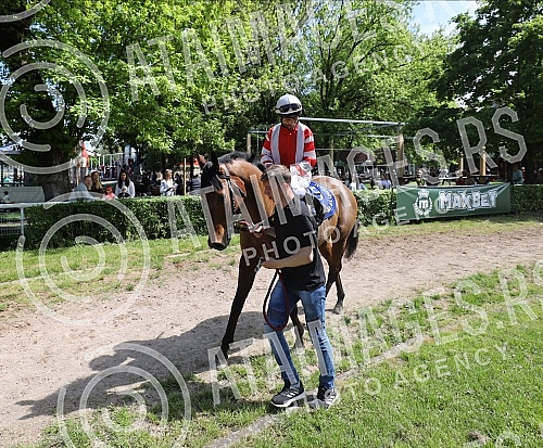 First May - Labor Day at the Belgrade Hippodrome.Prvi maj, praznik rada na beogradskom Hipodromu.