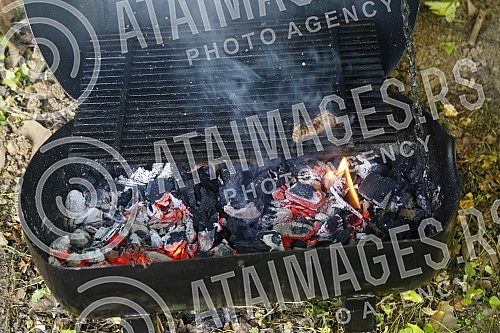 Celebration of International Workers' Day (Labour Day) on Kosutnjak - Prvomajski uranak.
Proslava Internacionalnog dana radnika (Praznik rada) na Kosutnjaku - Prvomajski uranak. Celebration of International Workers' Day (Labour Day) on Kosutnjak - Prvomajski uranak.
Proslava Internacionalnog dana radnika (Praznik rada) na Kosutnjaku - Prvomajski uranak.