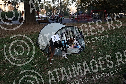 The protest march called No return from Smederevska Palanka to Belgrade arrived in front of the presidency building on October 30, but it does not end there and will continue until someone accepts the activists' demands.Protestni mars pod nazivom N