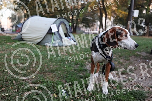 The protest march called No return from Smederevska Palanka to Belgrade arrived in front of the presidency building on October 30, but it does not end there and will continue until someone accepts the activists' demands.Protestni mars pod nazivom N