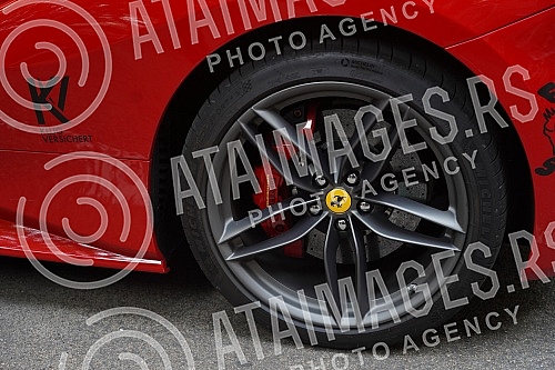 The unique car event Lions Run from Germany, is held twice a year: in summer and winter in different, carefully selected locations around the world, and this year it chose the Serbian capital as one of the destinations for its authentic car spectacl