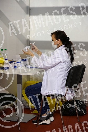 The team of the program for connecting with the Serbian diaspora 