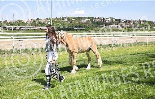 First May - Labor Day at the Belgrade Hippodrome.Prvi maj, praznik rada na beogradskom Hipodromu.
