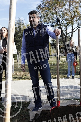 In the Friendship Park in Usce, the Serbian Progressive Party celebrated its 13th birthday by planting 13 trees.In the Friendship Park in Usce, the Serbian Progressive Party celebrated its 13th birthday by planting 13 trees.