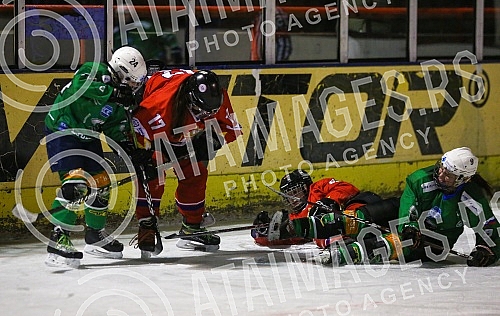 The match of the women's hockey team Serbian girls against Ljubljana's Olimpija was played as part of preparations for the historic, first appearance at the IIHF World Championship III Division B Group, which will be held in Belgrade in March.
Utak The match of the women's hockey team Serbian girls against Ljubljana's Olimpija was played as part of preparations for the historic, first appearance at the IIHF World Championship III Division B Group, which will be held in Belgrade in March.
Utak