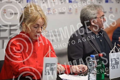 Press conference at the 49th Fest, where Slobodan Ivetic, director