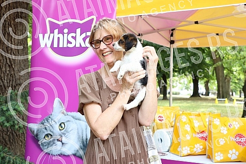 The first regional festival of dogs of all breeds called 