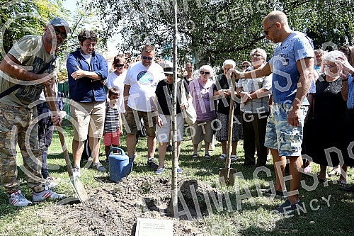 The 9th Days of Danilo Bata Stojkovic, Actors planted trees in honor of Ljubisa Samardzic and Nebojsa Glogovac.Deveti dani Danila Bate Stojkovica, Glumci sadili drvece u cast Ljubise Samardzica i Nebojse Glogovca.