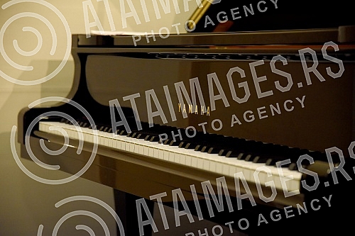 The Nuclear Weapons Peace and Peace Concert, held at the Gvarnerius Institution, is part of a series of concerts organized by the Harmony for Peace and Hope Association. The second new music ensemble puts Belgrade on the map with participants who sen