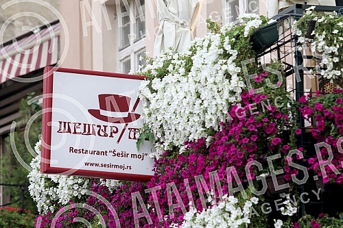 The Tourist Organization of Belgrade and the Association of Skadarlija Lovers are organizing the 