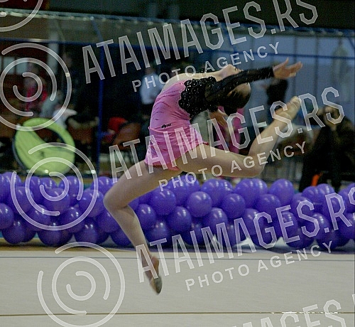 Medjunarodni turnir u ritmickoj gimnastici 