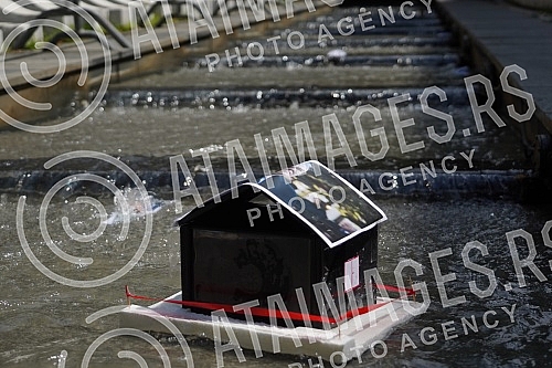 In front of the fountain on Andricev venac, a performance by organizations gathered around the 