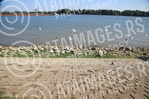 Low water level on the Danube River.Nizak vodostaj na reci Dunav.