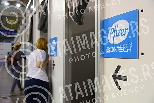 The team of the program for connecting with the Serbian diaspora 