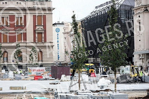 As part of the reconstruction of the Republic Square, the phase of planting new trees is in progress. U sklopu rekonstrukcije Trga republike, u toku je faza sadjenja novih stabala.