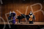 The American violinist Elizabeth Pitcairn performed in the Great Hall of the Kolarce Endowment, and the audience in Serbia had the opportunity to hear for the first time the sounds of one of the most famous and expensive violins in the world, the Red